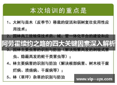 阿劳霍续约之路的四大关键因素深入解析