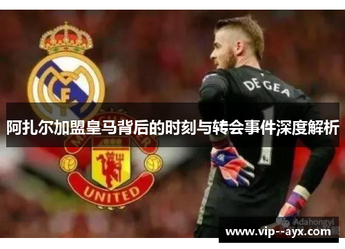 阿扎尔加盟皇马背后的时刻与转会事件深度解析