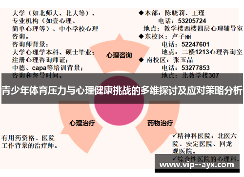 青少年体育压力与心理健康挑战的多维探讨及应对策略分析