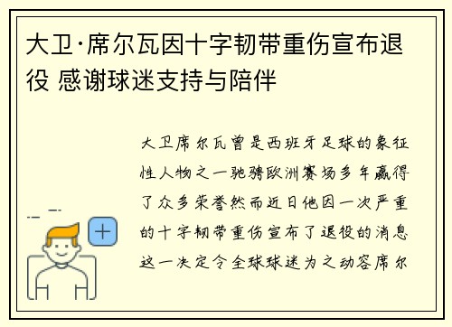 大卫·席尔瓦因十字韧带重伤宣布退役 感谢球迷支持与陪伴