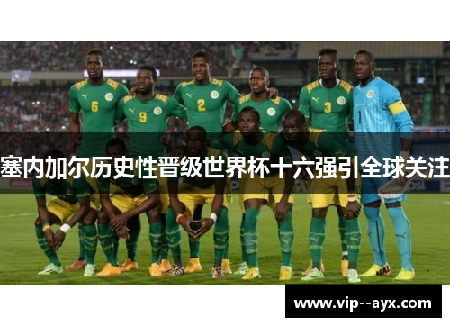 塞内加尔历史性晋级世界杯十六强引全球关注