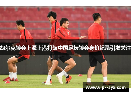 胡尔克转会上海上港打破中国足坛转会身价纪录引发关注
